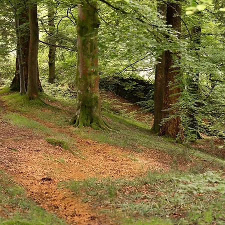 The Courtyard Сasa de vacaciones *
