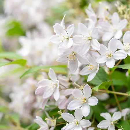 بيت للعطل The Courtyard *