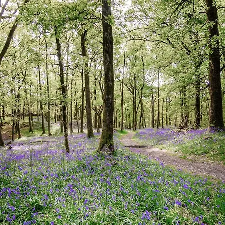 The Courtyard آمبيلسايد